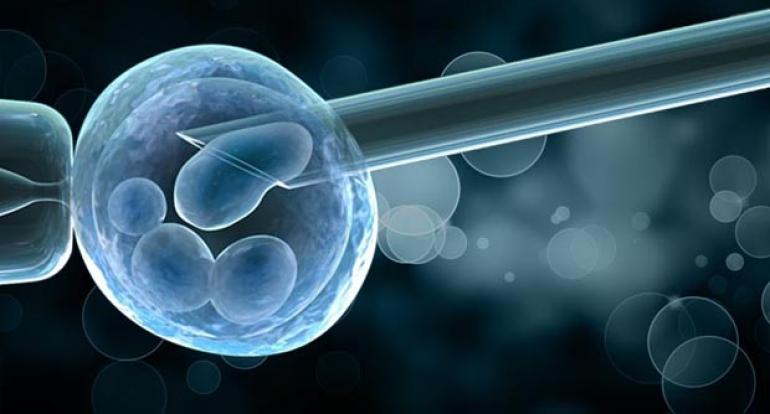 Genetic Testing & Preimplantation Screening (PGT)